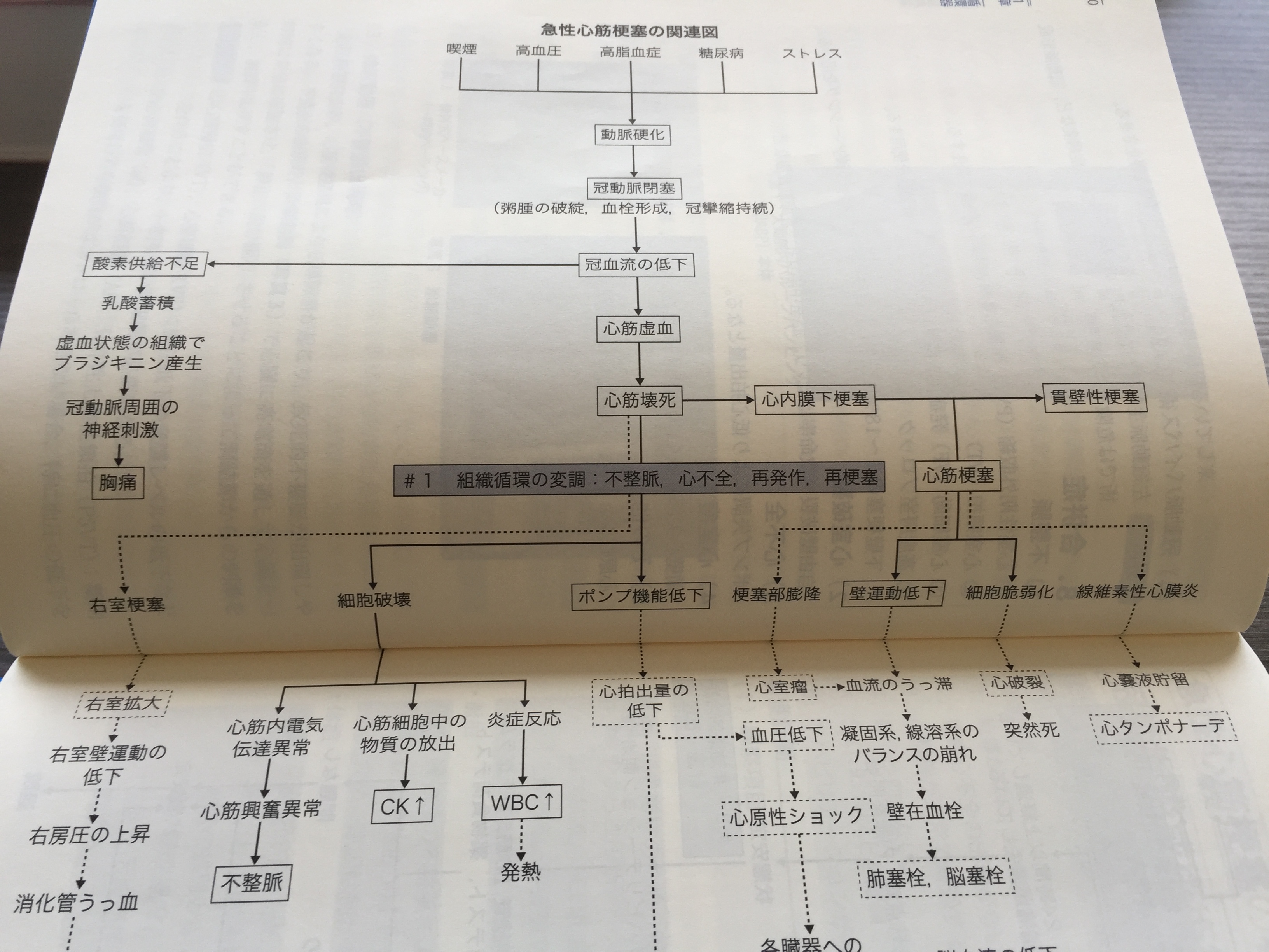 看護実習で使える関連図おすすめ本〜病態関連図編〜｜「デキる看護師に