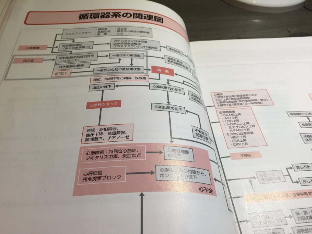 看護実習まとめ 病態＆全体関連図最多99症例収録!! 4000ファイル！！ - 本